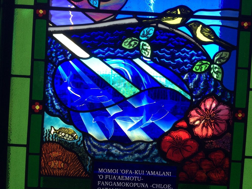 stained glass Creation window Tongan Church